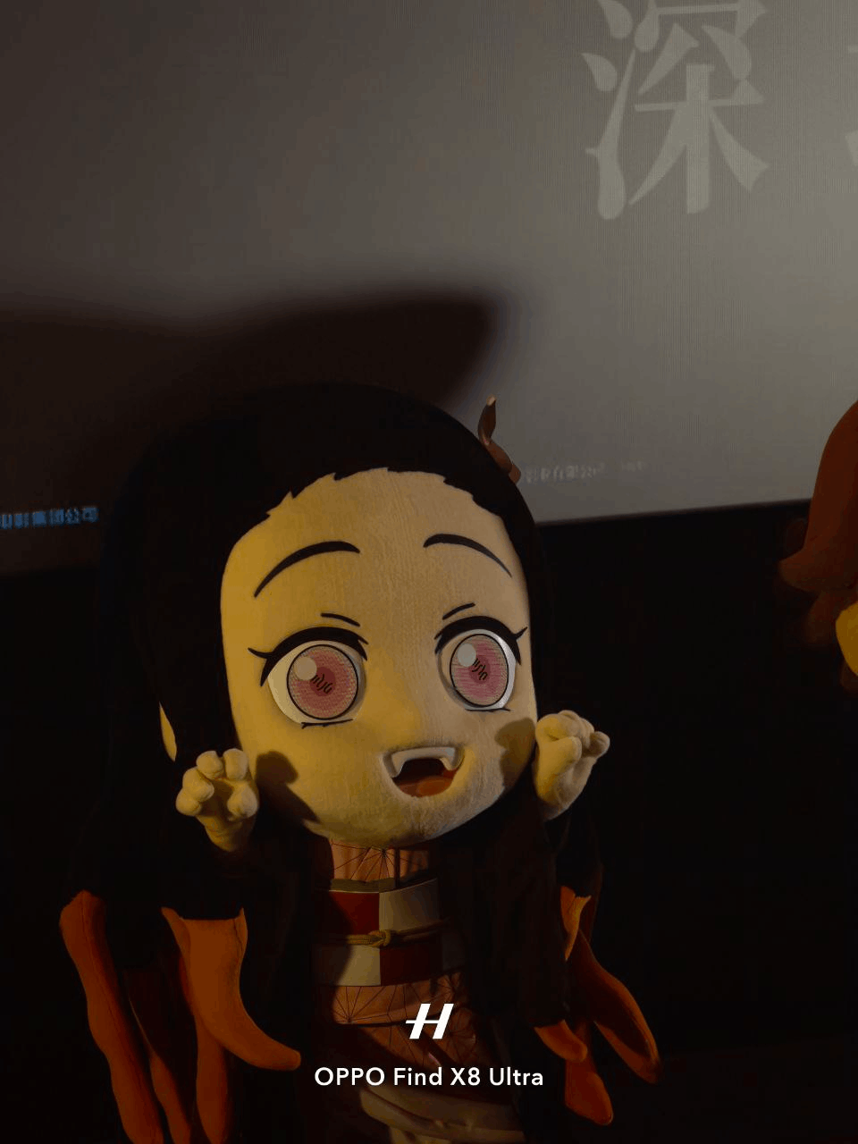 image-20251120215908496