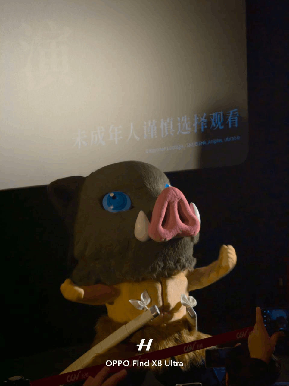 image-20251120215929517